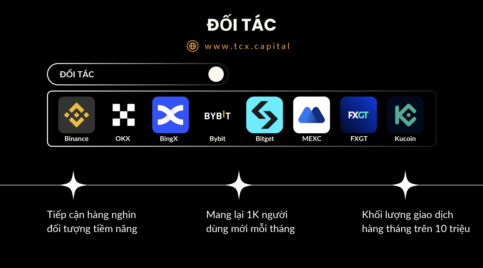 Các đối tác của TCX CAPITAL